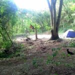 Camping Vera Cruz-Miguel Pereira-rj-6