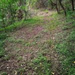 Camping Vera Cruz-Miguel Pereira-rj-7