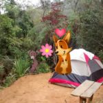 Camping da Lili-Divino de São Lourenço-ES-4