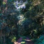 camping Vila das Borboletas-Piedade-SP-2