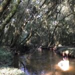 camping Vila das Borboletas-Piedade-SP-8