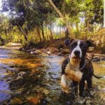 camping origens-Chapada dos Veadeiros-GO-3