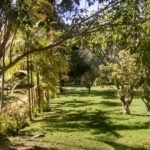 camping pousada vilela-Divino de São Lourenço-es-5