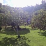 camping pousada vilela-Divino de São Lourenço-es-6