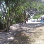 camping tubarão-superagui-PR-5