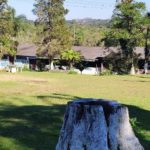 Camping Ana Paula-Embu Guaçu-SP-5
