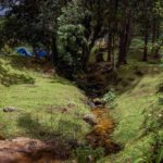 Camping Chez Bruna-Bananal-SP-7