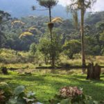 Camping Chez Bruna-Bananal-SP-9
