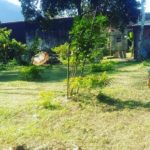 Camping Do Ingles Y 89-caraguatatuba-sp-5