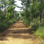 Camping Floresta Nacional de Brasília-Brasilia-DF-1