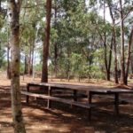 Camping Floresta Nacional de Brasília-Brasilia-DF-2
