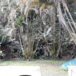 Camping Hostel Casa do Marinho-bertioga-sp-5