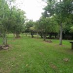 Camping Ilha Bela-Rolante-RS-5