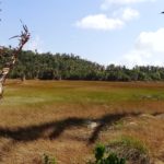 Camping Ilha de Itauna-Alcantara-MA-4