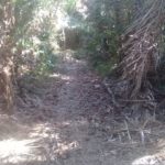 Camping Ilha de Itauna-Alcantara-MA-5