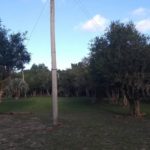 Camping Municipal Costa Doce-Arambaré-RS-1
