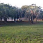 Camping Municipal Costa Doce-Arambaré-RS-10