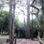 Camping Municipal Costa Doce-Arambaré-RS-17