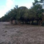 Camping Municipal Costa Doce-Arambaré-RS-21