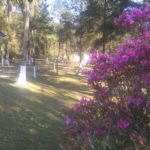 Camping Pousada Bela Vista Eco-São Roque-SP-8