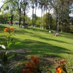 Camping da Aurânia-Tamarana-PR-11