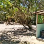 Camping do Waldecir-Ilha do Cardoso-SP-5