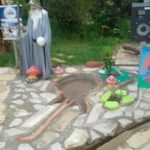 Cogumelos Camping Rock-sao tome das letras-mg-10