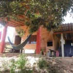 Cogumelos Camping Rock-sao tome das letras-mg-2