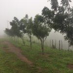 Pomaria Camping-Bananeiras-PB-1