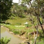 Camping Acqua Park Nogueira-São José dos Pinhais-PR-6
