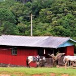 Camping Cachoeira dos Solais-Tijucas do Sul-PR-3