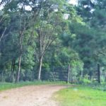 Camping Cachoeira dos Solais-Tijucas do Sul-PR-4