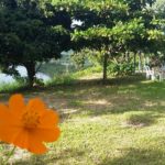 Camping Doce Aconchego-capanema-pr-3