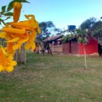 Camping Nativos-Praia do Rosa-Imbituba-SC-5
