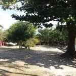 Camping Rancho do Pescador-Ilha do Cardoso-SP-4