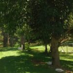 Camping Riacho Doce-Marques de Souza-RS-2
