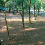 Camping Schedler-Forquetinha-RS-1