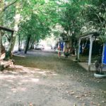 Camping Schedler-Forquetinha-RS-11