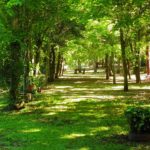 Camping Schedler-Forquetinha-RS-5