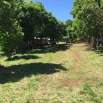 Camping Schedler-Forquetinha-RS-9