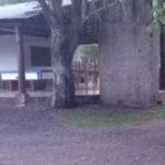 Camping do Germano-Marques de Souza-RS-3
