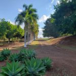 Clube Novo Mirassol-pederneiras-SP-8