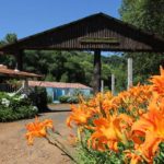Prainha camping Recanto do Arvoredo