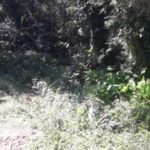 camping Mar e Sol-Praia Grande-SP-3