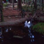 camping beira rio-blumenau-sc-12