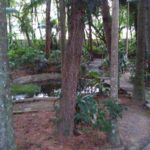 camping beira rio-blumenau-sc-5