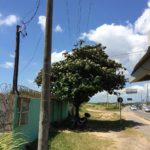 camping jiboia-vila velha-ponto de apoio RV externo