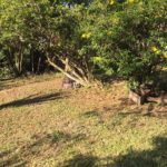 camping praia do rosa-imbituba-sc-3