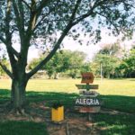 camping sitio recanto do vovo-novo hamburgo-campo bom-RS-1