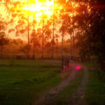 camping sitio recanto do vovo-novo hamburgo-campo bom-RS-11